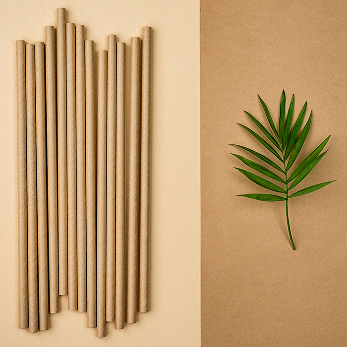 Doğal Bamboo Pipet